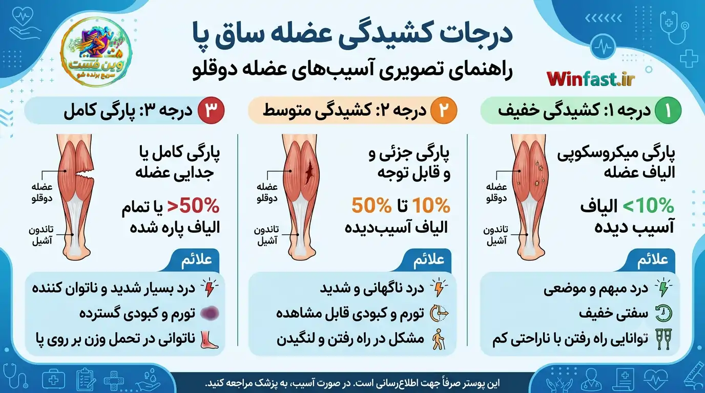 درجات کشیدگی عضله ساق پا